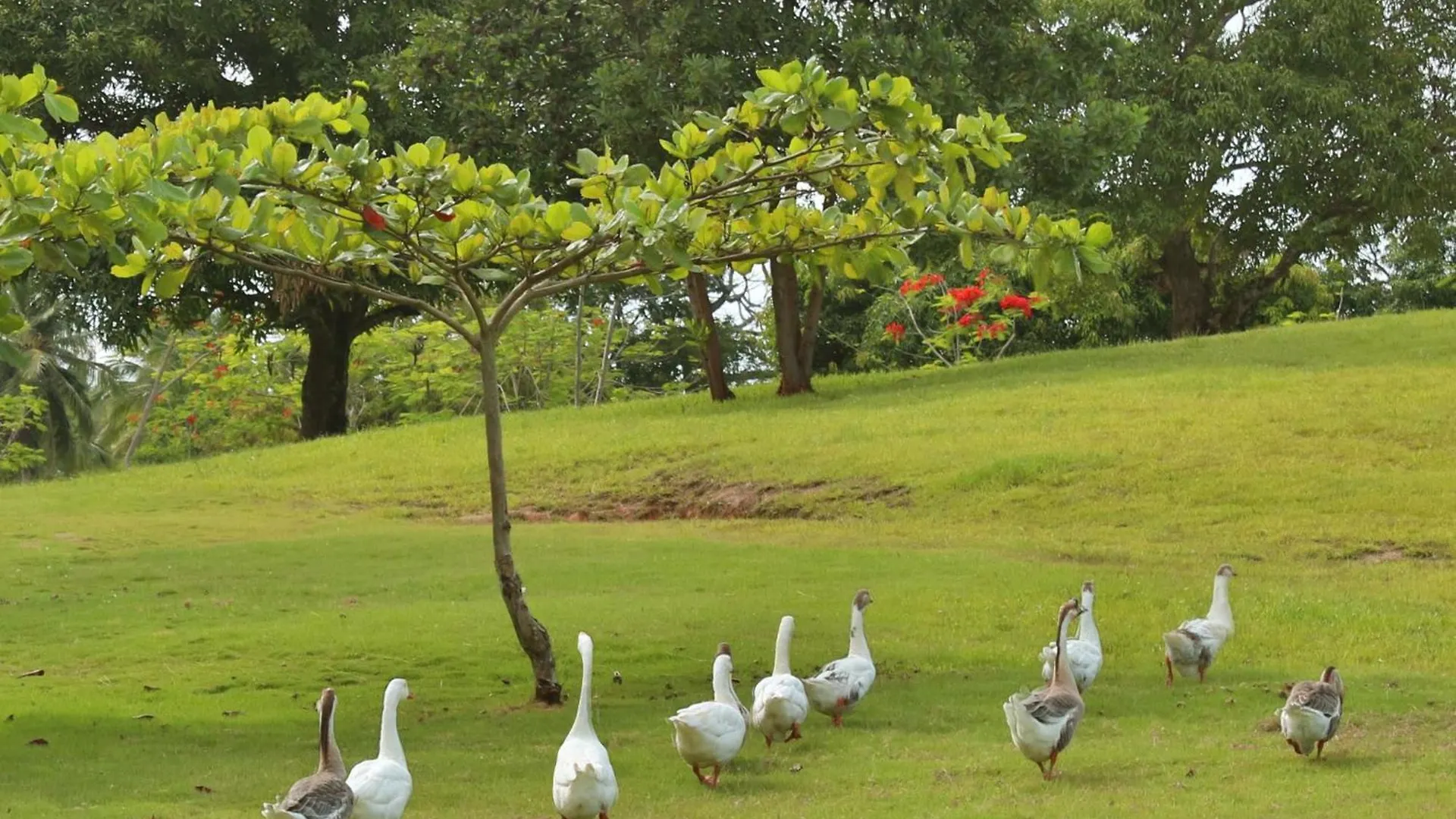 Hotel Boutique Del Lago Nagua Dominican Republic